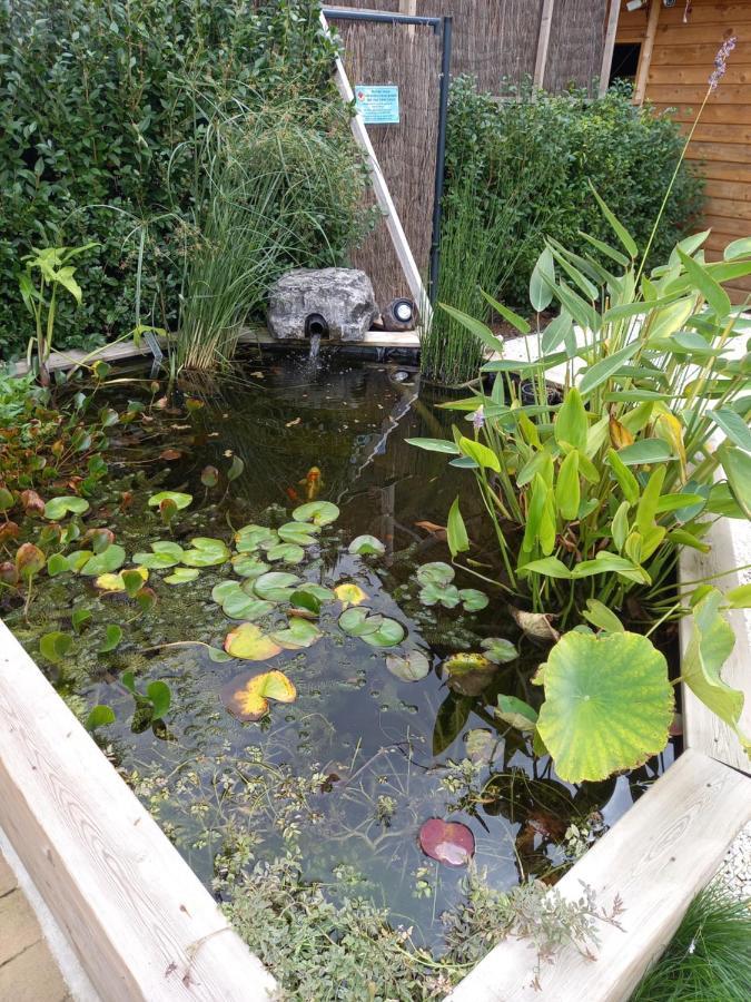 Appartement 3 Eme Etage Avec Piscine Partagee Sedan Buitenkant foto